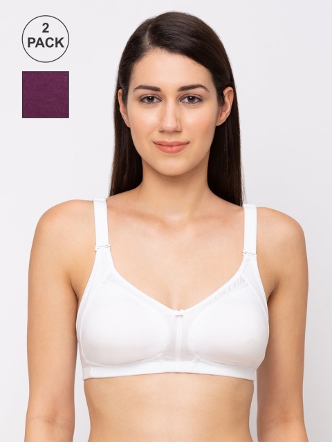 

Juliet Pack Of 2 Purple & White Solid Non-Wired Non Padded Minimizer Bra 34C