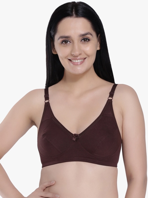 

Anoma Brown Solid Non-Wired Non Padded Everyday Bra