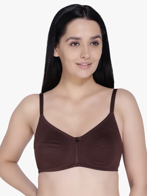 

Anoma Brown Solid Non-Wired Non Padded T-shirt Bra ANM04