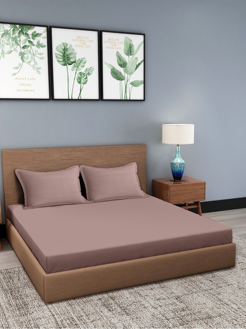 

Trident Mauve Striped 210 TC Cotton 1 King Bedsheet with 2 Pillow Covers
