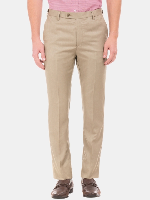 

Arrow Men Beige Regular Fit Self Design Formal Trousers