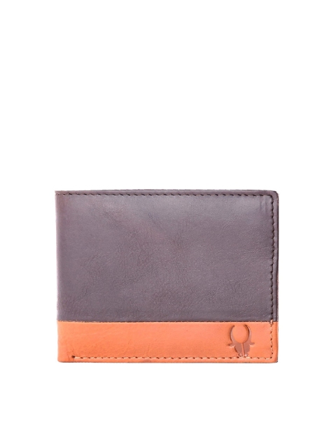

WildHorn Men Brown Colourblocked RFID Protected Leather Two Fold Wallet