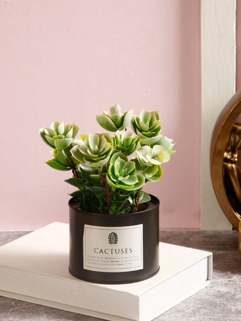 

TAYHAA Green & Black Artificial Jade Plant With Metal Pot