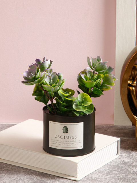 

TAYHAA Green & Black Artificial Cactus Plant With Metal Pot