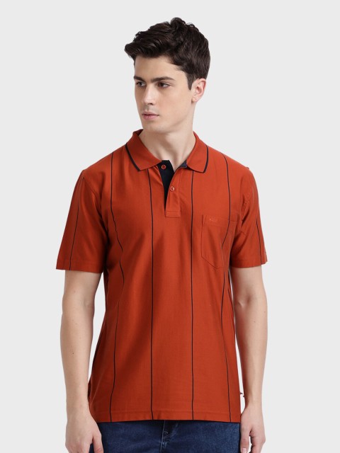 

ColorPlus Men Rust Orange Striped Polo Collar T-shirt