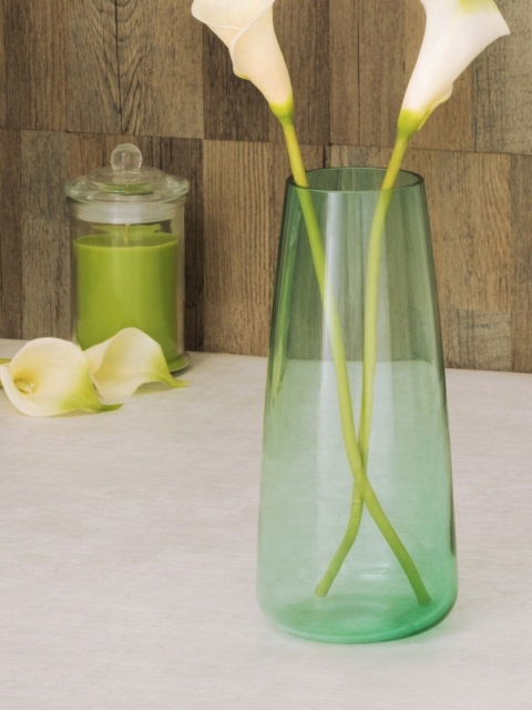 

Home Centre Green Transparent Eadric Ombre Glass Vase