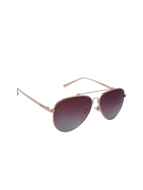 

MARC LOUIS Brown Lens & Gold-Toned Aviator Sunglasses with Polarised and UV Protected