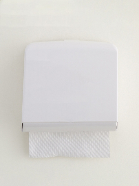 

Home Centre White Solid Orion Zane Wall-Mount Tissue Holder