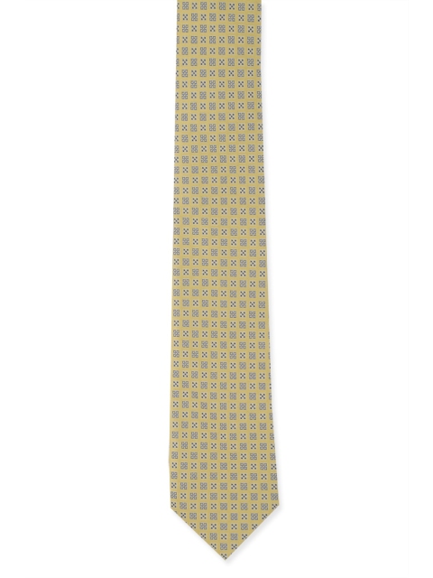 

Peter England Men Bronze Woven Design Broad Tie