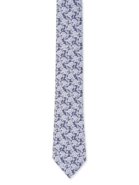

Peter England Men Blue & White Woven Design Broad Tie