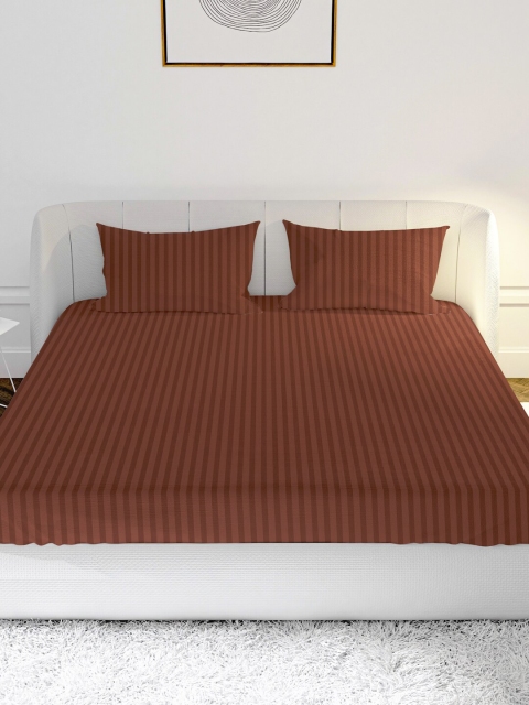 

MAYFAIR HOMES LONDON Brown Striped 210 TC Queen Bedsheet with 2 Pillow Covers