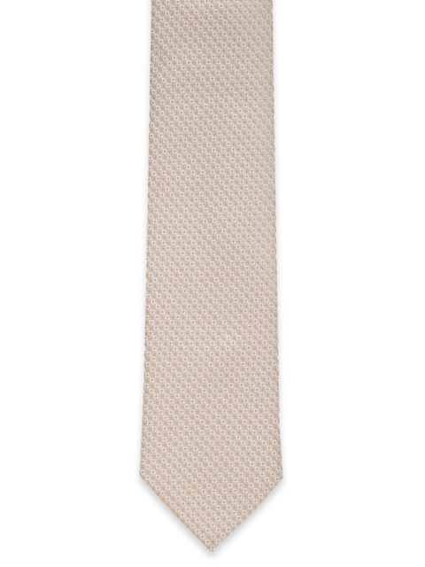

Van Heusen Men Beige & Blue Woven Design Broad Tie