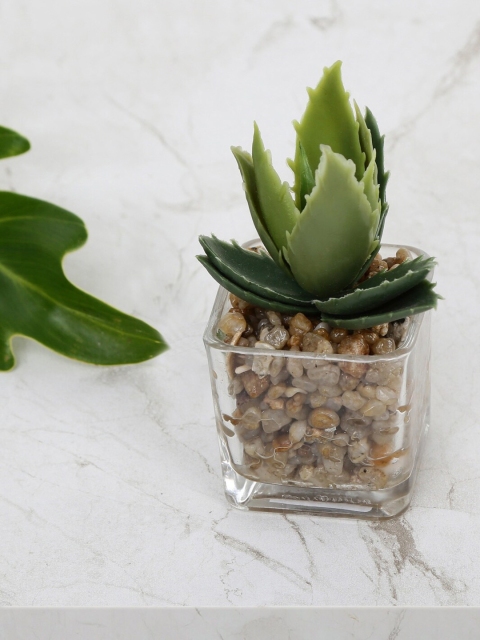 

Home Centre Green & Transparent Gardenia Artificial Bonsai In Glass Pot