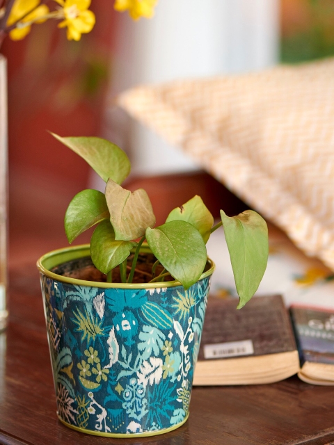 

Chumbak Blue & Green Jungle Ikat Pot Large Holder