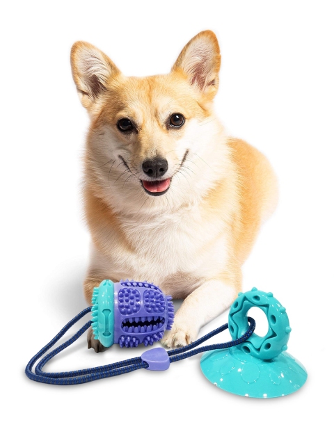 

Pawsindia Blue Tug Of Wall Supreme Dog Toy