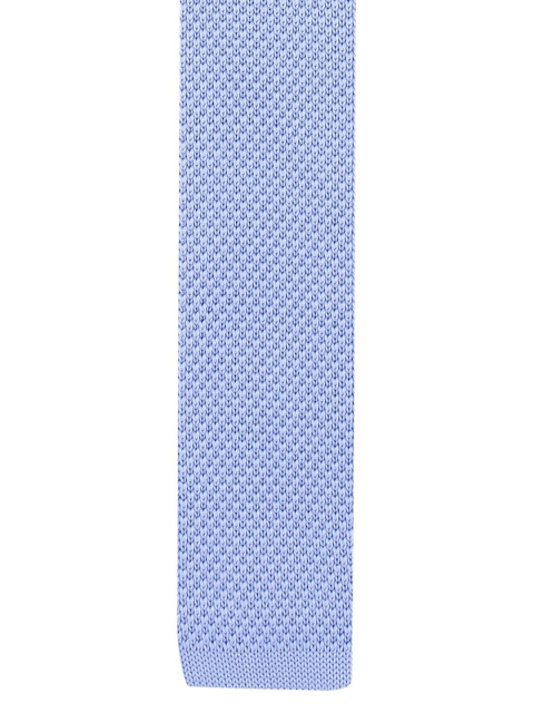

The Tie Hub Men Blue Woven Design Skinny Tie