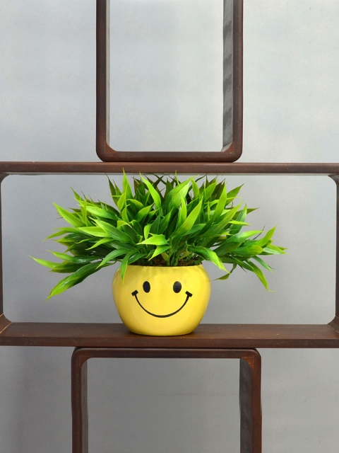 

fancy mart Green & Yellow Artificial Bamboo Grass In Smiley Metal Pot