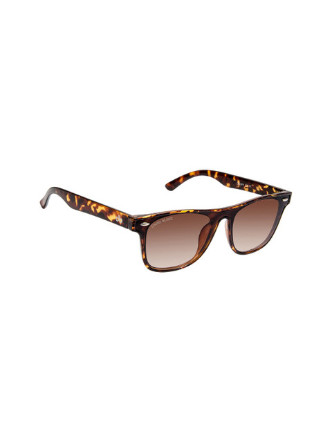 

David Blake Unisex Brown Lens & Brown Wayfarer Sunglasses NP-SGDB1752
