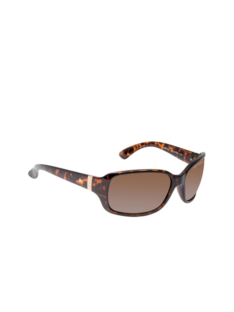 

David Blake Women Brown Lens Rectangle Sunglass with UV Protected Lens - NP-SGDB2063