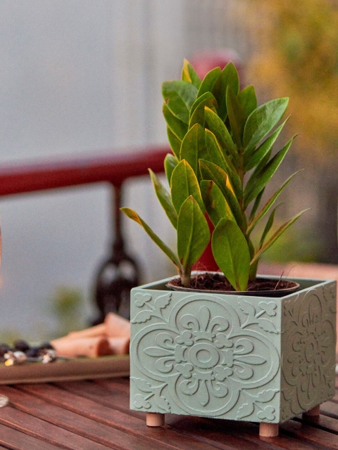 

Chumbak Teal Green Floral Handcrafted Cement Planter