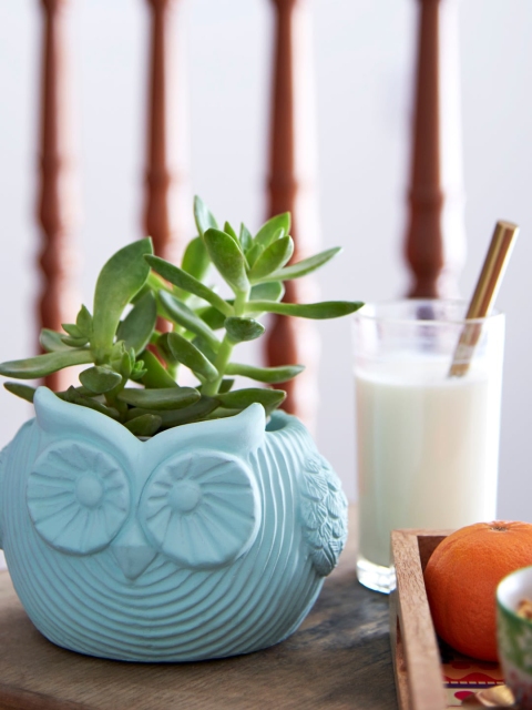 

Chumbak Blue Handcrafted Cement Owl Planter