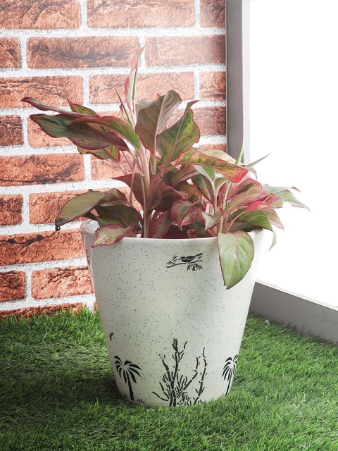 

The Decor Mart White & Grey Bucket Ceramic Planter