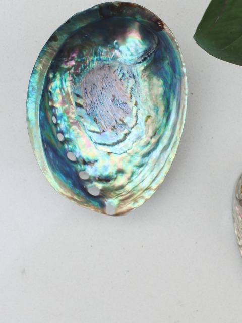 

THOA Blue Ablone Shell Showpiece
