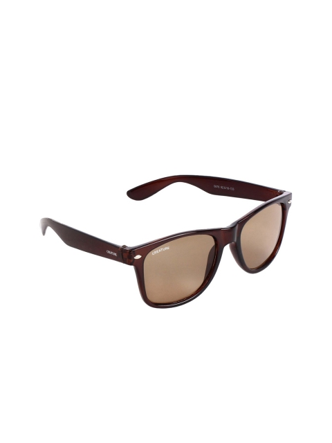 

Creature Unisex Brown Lens & Brown Aviator Sunglasses with UV Protected Lens SUN-002