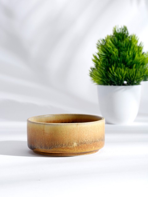 

Fabindia Brown 1 Piece Ceramic Jaksh Glazed Bowl