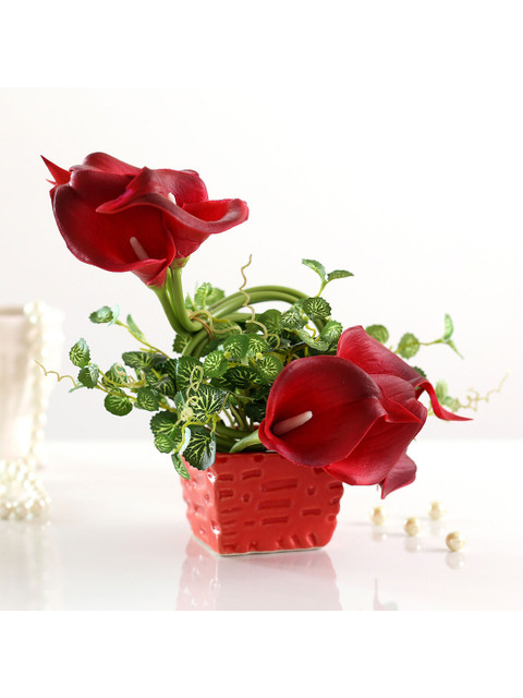 

Ferns N Petals Red & Green Artificial Calla Lilies With Ceramic Pot