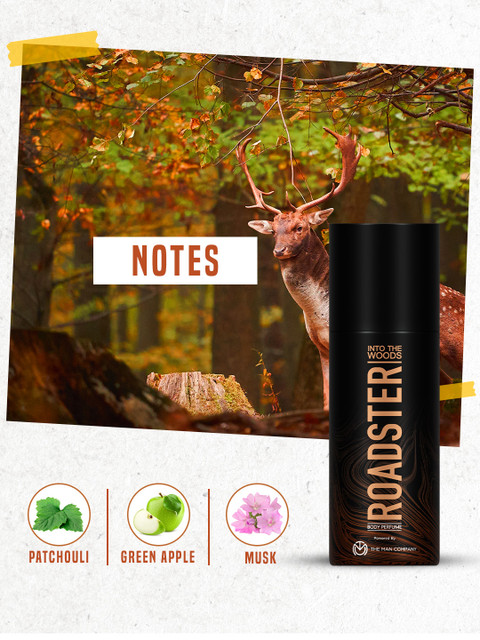 Roadster Men Set of 2 No Gas Body Perfumes- Into The Woods & Green Trails - Image 3