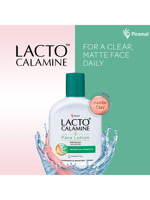 Lacto Calamine Daily Moisturizer Face Lotion For Combination To Normal Skin - 120 ml - Image 3