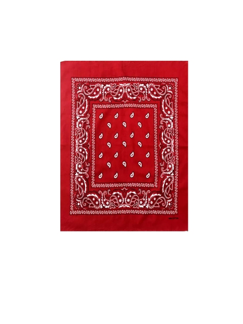 Aadikart Pack Of 4 Paisley Printed Cotton Bandanas - Image 3