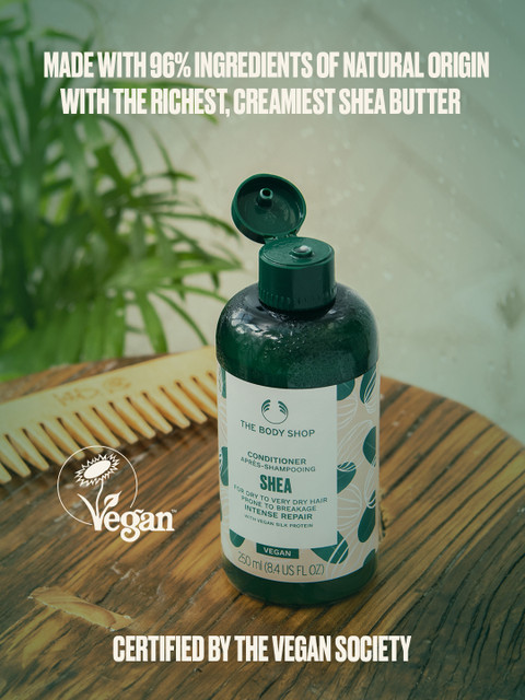 THE BODY SHOP Shea Butter Richly Replenishing Conditioner 250ml - Image 2