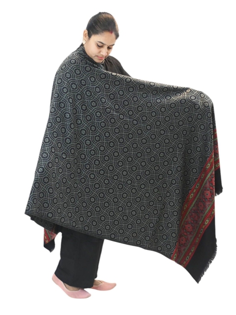 Vrinde Kashmiri Floral Woven Design Shawl - Image 3