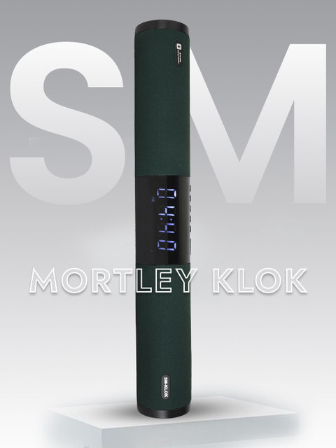 SWISS MILITARY KLOK 20 W Portable Wireless Bluetooth Speaker - Image 7