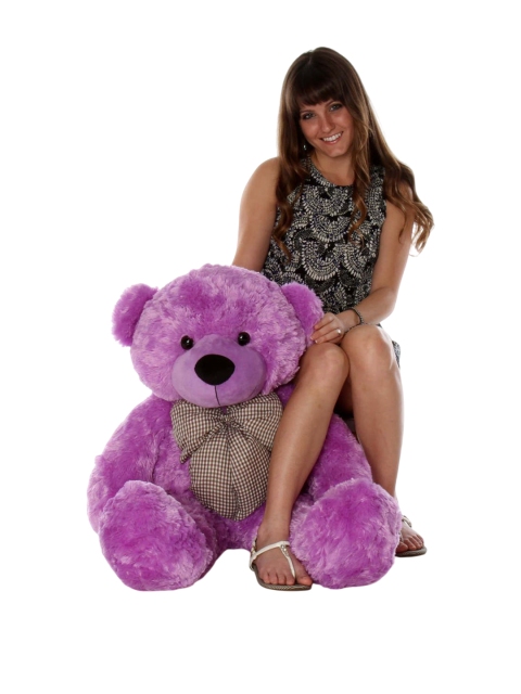 VEERA SOFT TOYS Kids Teddy Bears Soft Toys