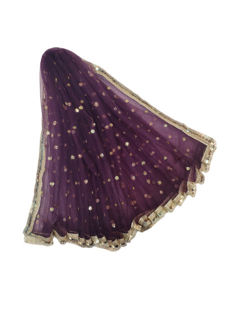 Navti Creations Embroidered Sequinned Dupatta