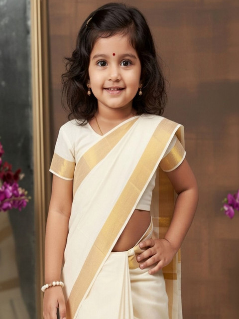 Aarika Zari Maheshwari Saree - Image 2