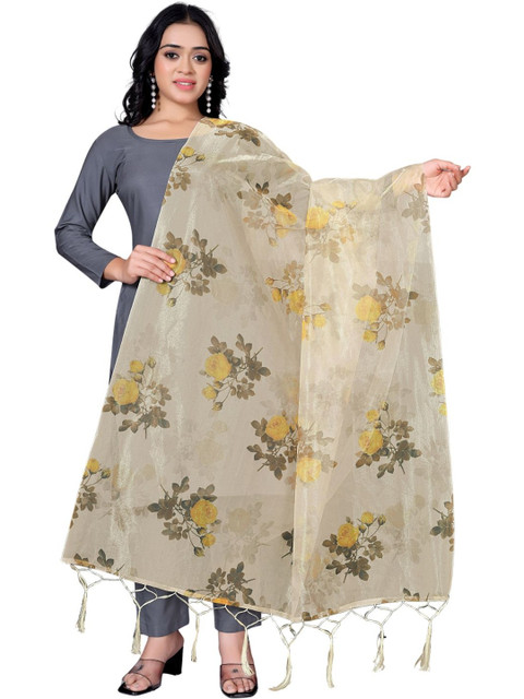 Kemza Printed Organza Dupatta