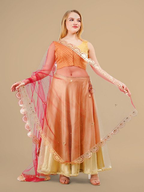 Karthav Fashion Floral Embroidered Dupatta With Beads and Stones