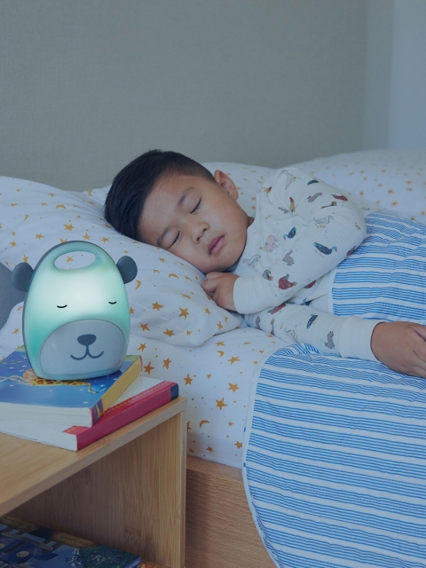 Skip Hop Beary Cute Take-Along Nightlight Toy