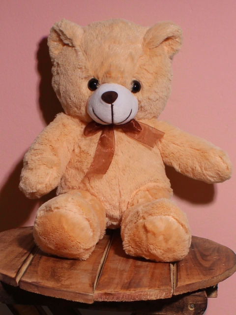 DukieKooky Kids Polyfill Teddy Bears Soft Toys and Dolls