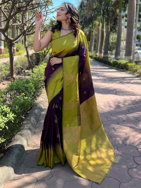 AMRUTKALA SAREES Ethnic Motifs Woven Design Banarasi Saree