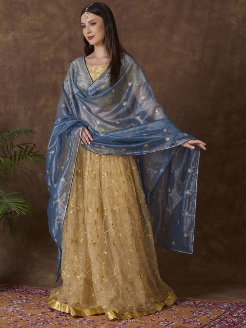 Dupatta Bazaar Embroidered Dupatta with Sequinned