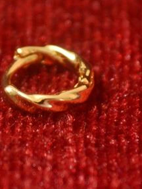 SHREEVARAM Rhodium-Plated Cubic Zirconia Ring Nosepin