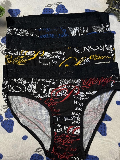 FiveFlag Pack of 3 Women Mid-Rise Hipster Briefs