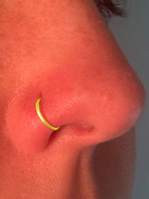 Goldnera Moonround Piercing Nose Ring Nosepin