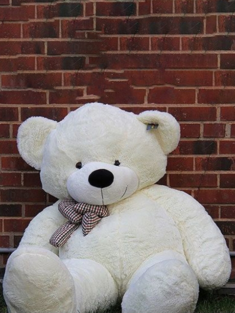 VEERA SOFT TOYS Kids Teddy Bears Soft Toys