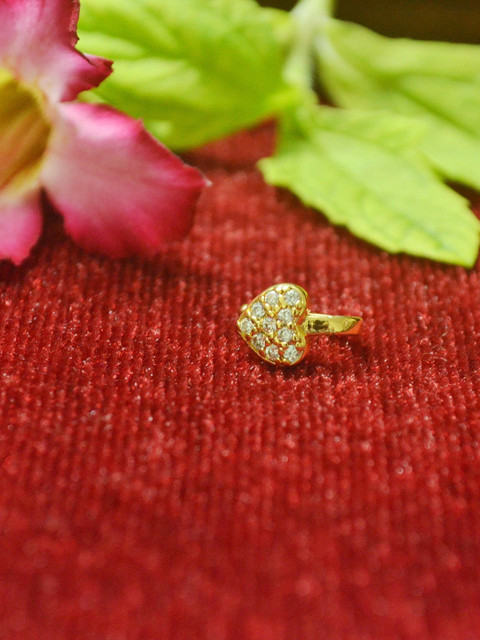 SHREEVARAM Gold-Plated Cubic Zirconia Stud Nosepin